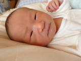 img0002.jpg
