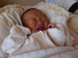 img0005.jpg