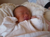 img0006.jpg
