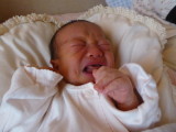 img0007.jpg
