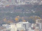 img0027.jpg