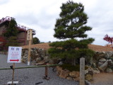 img0031.jpg