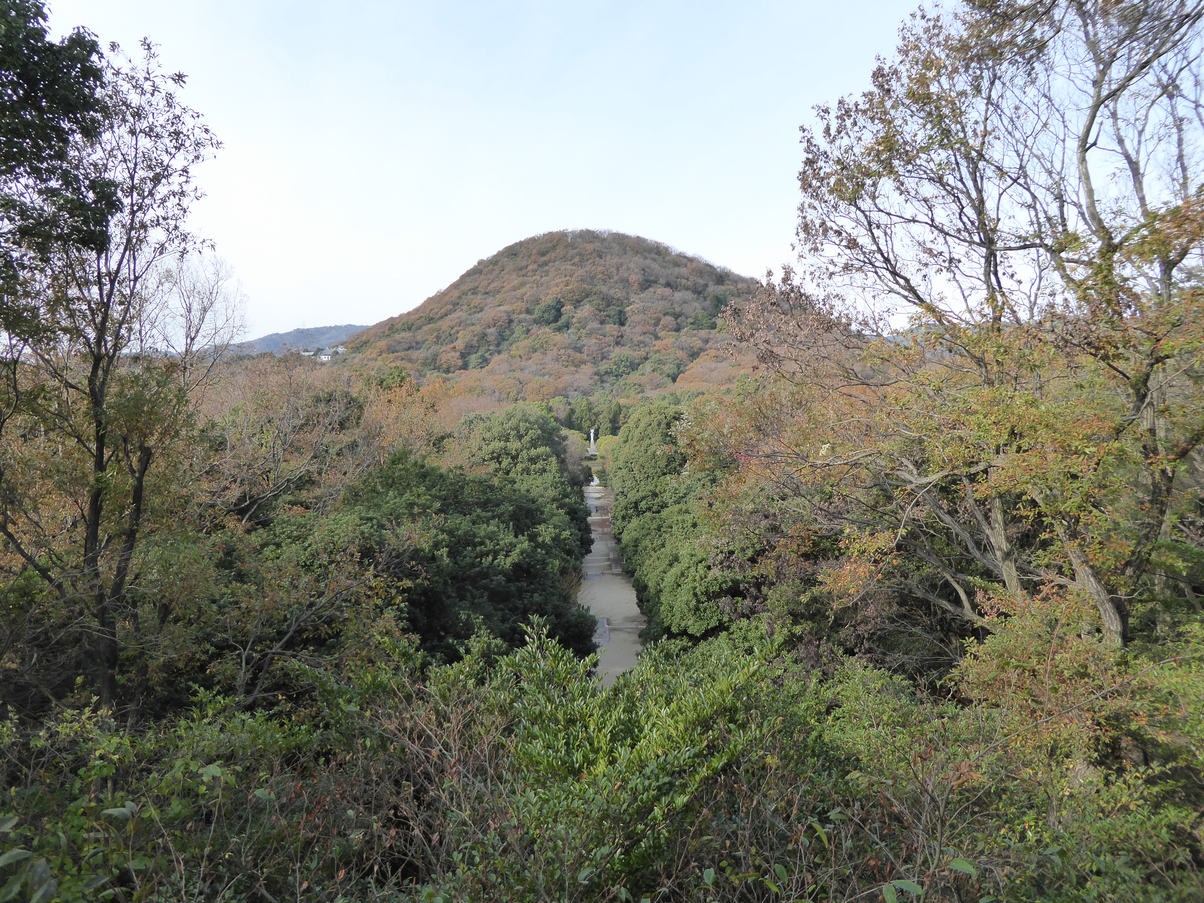 P1010310.JPG