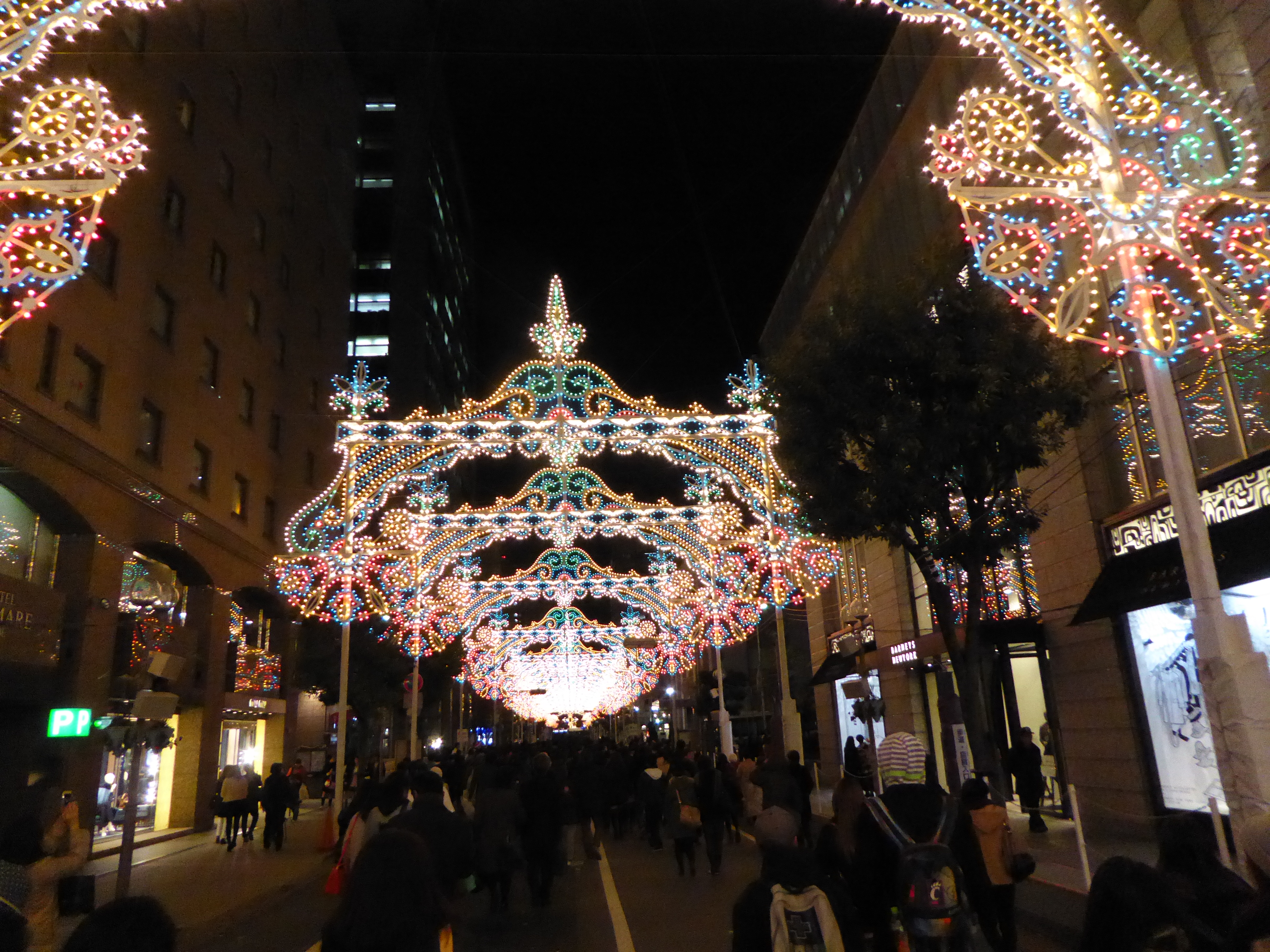 P1010344.JPG