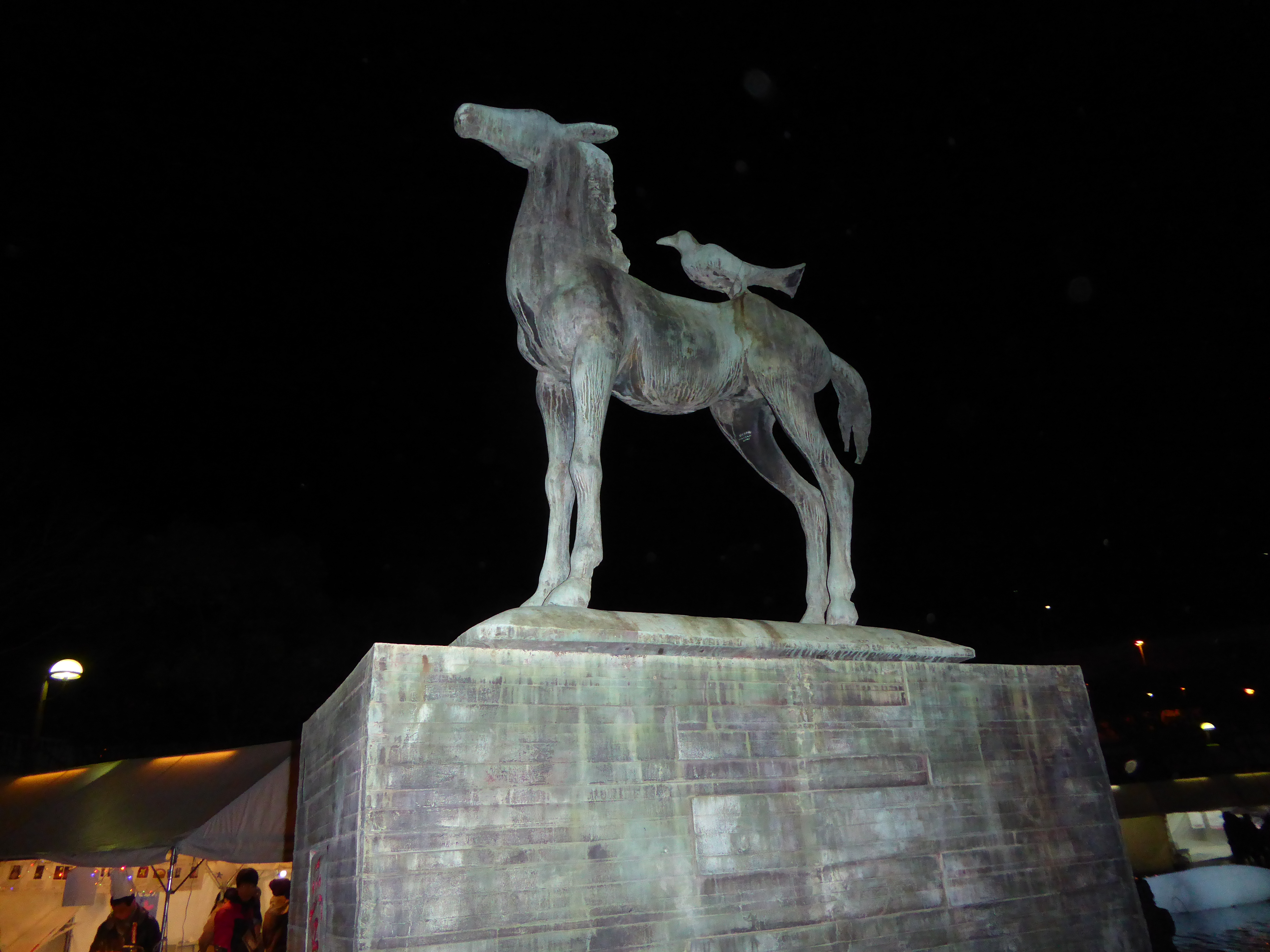 P1010369.JPG