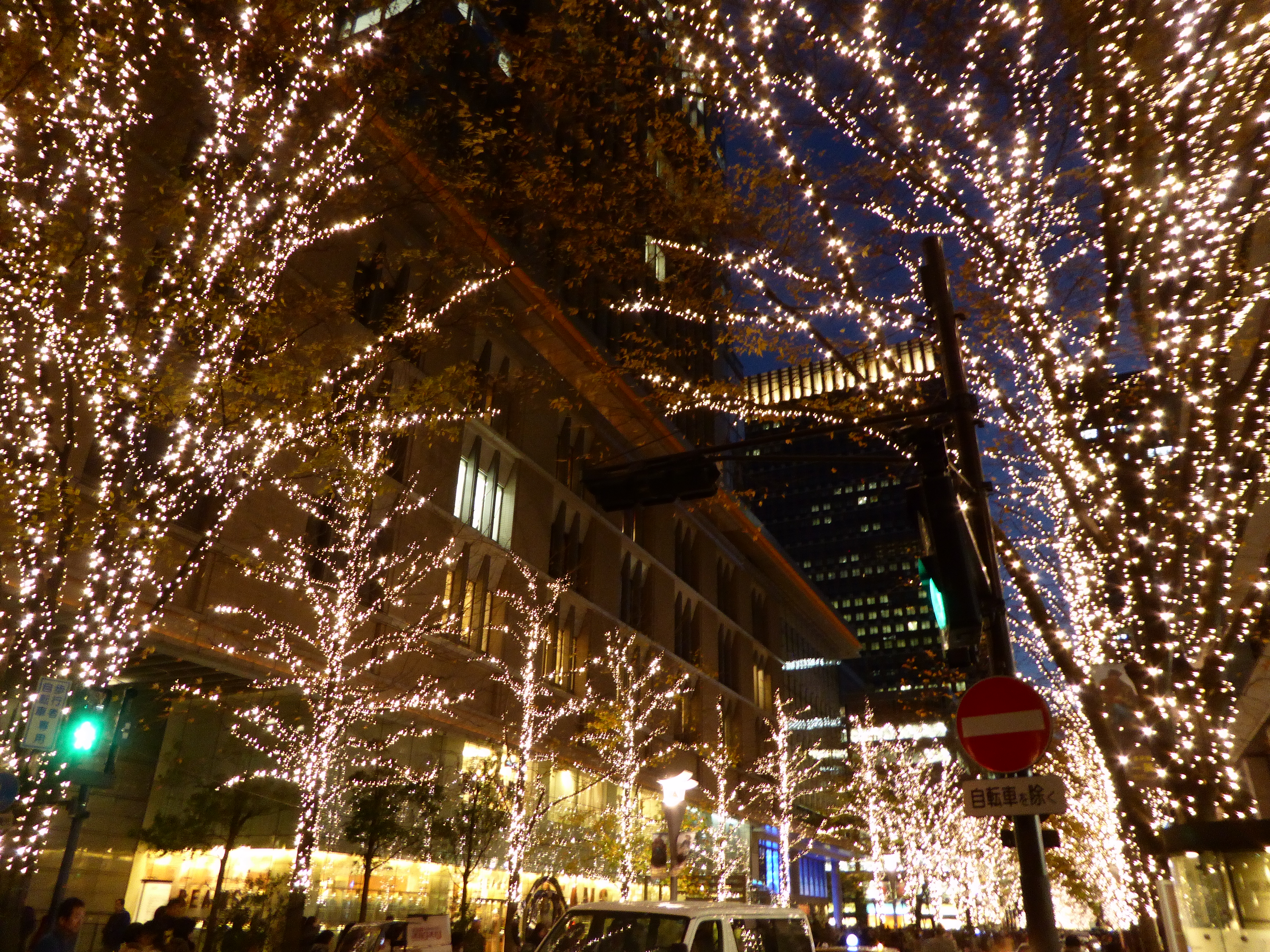 P1010403.JPG