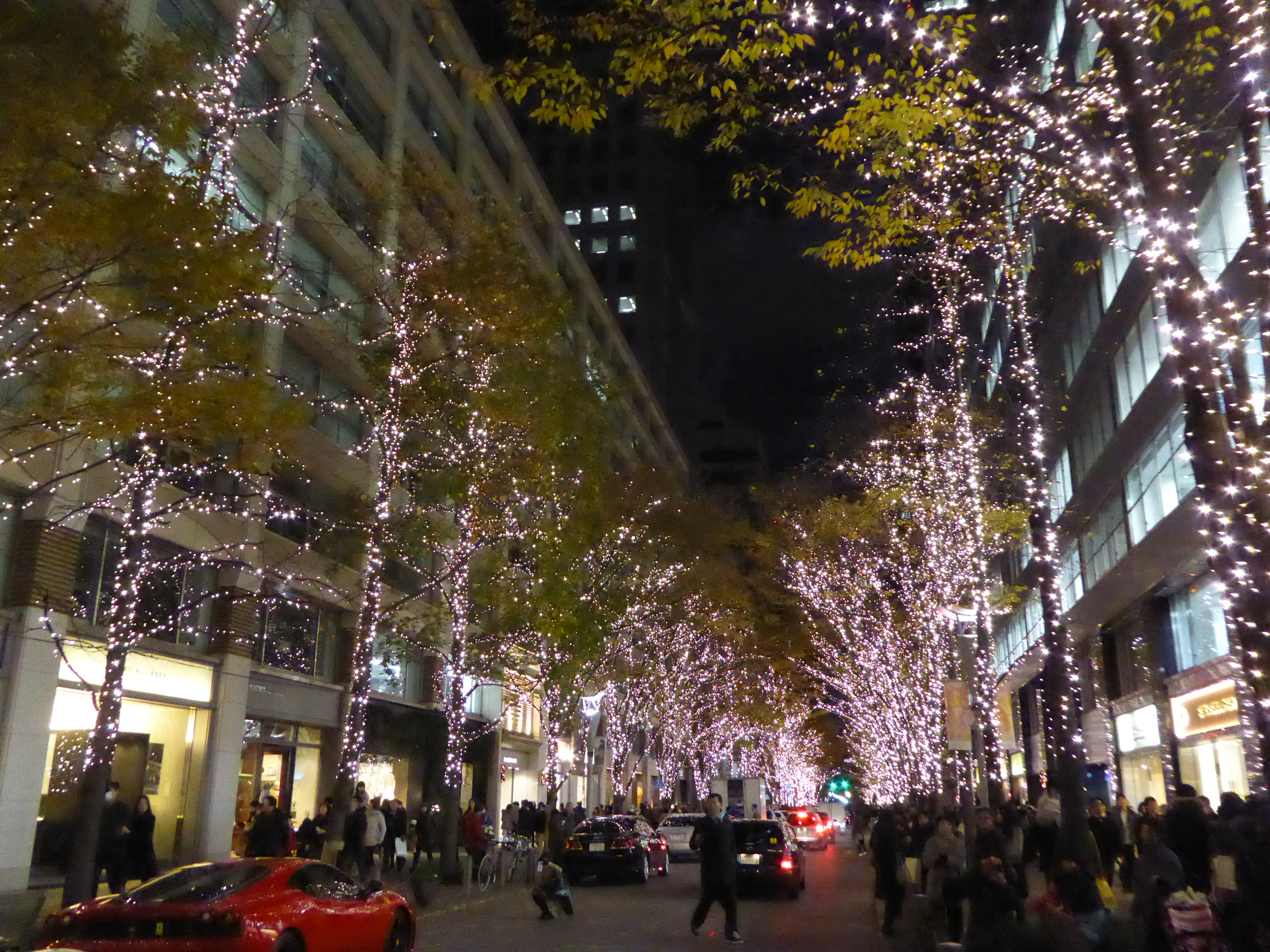 P1010407.JPG