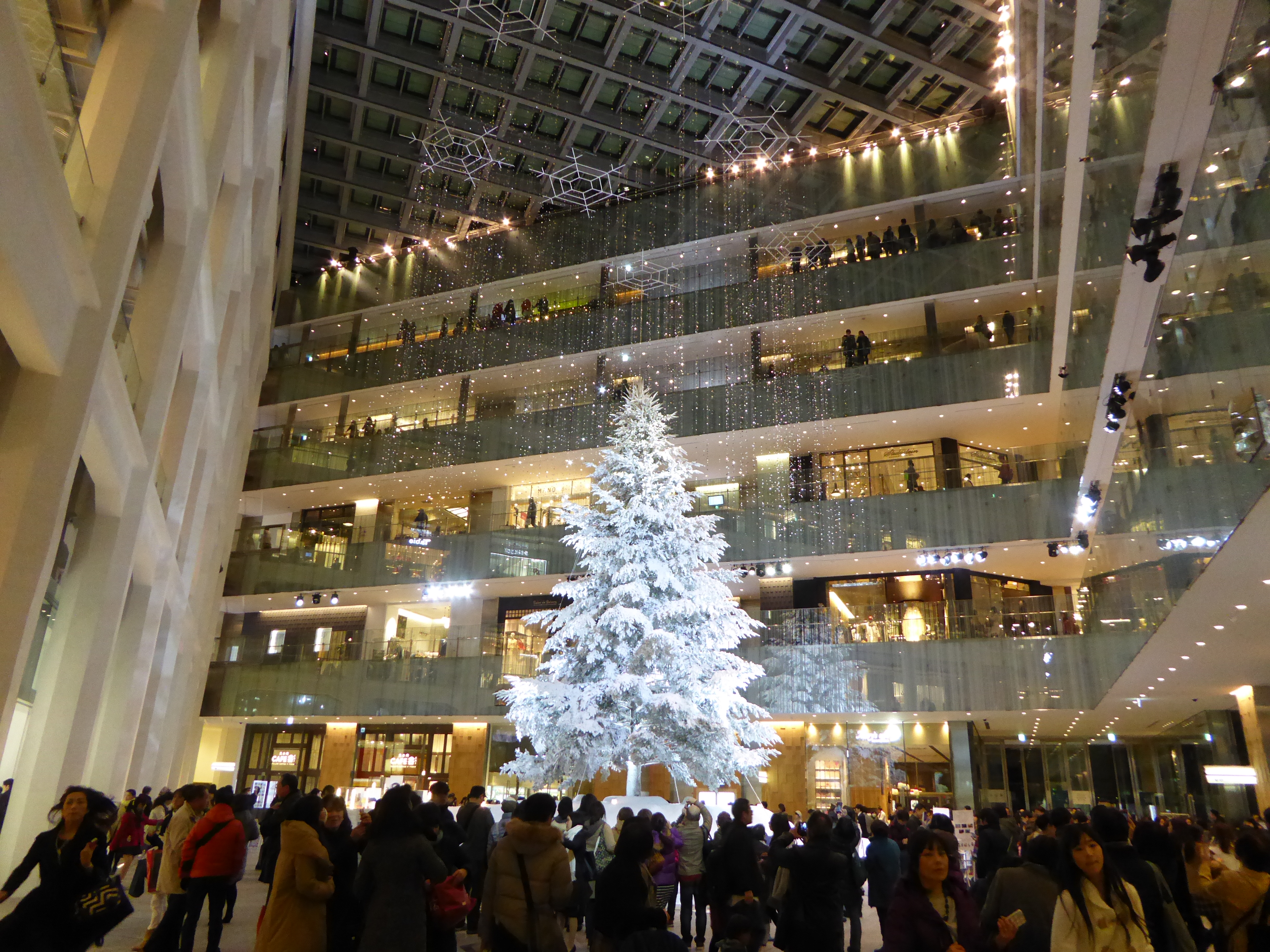 P1010409.JPG