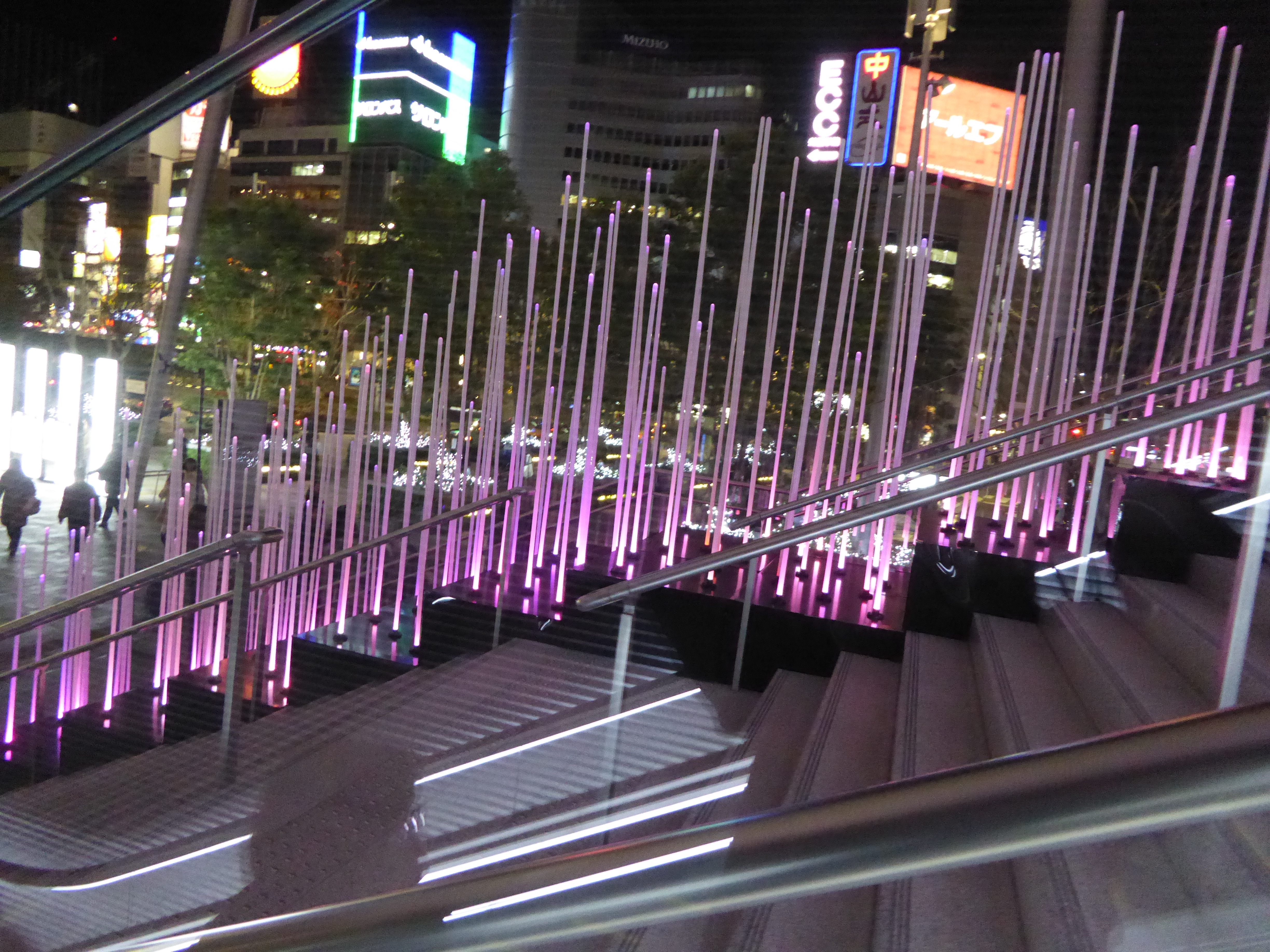 P1010411.JPG