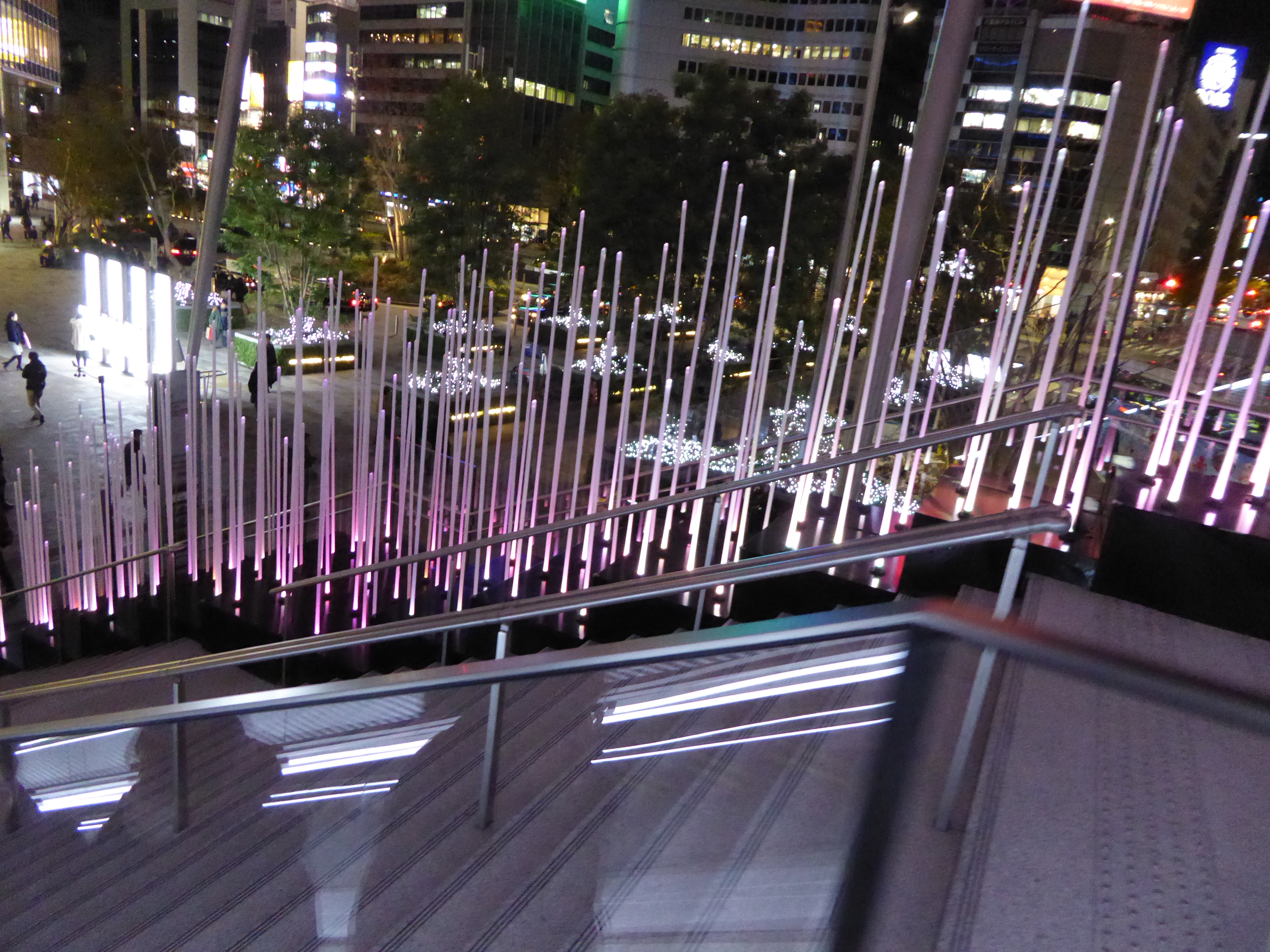 P1010412.JPG