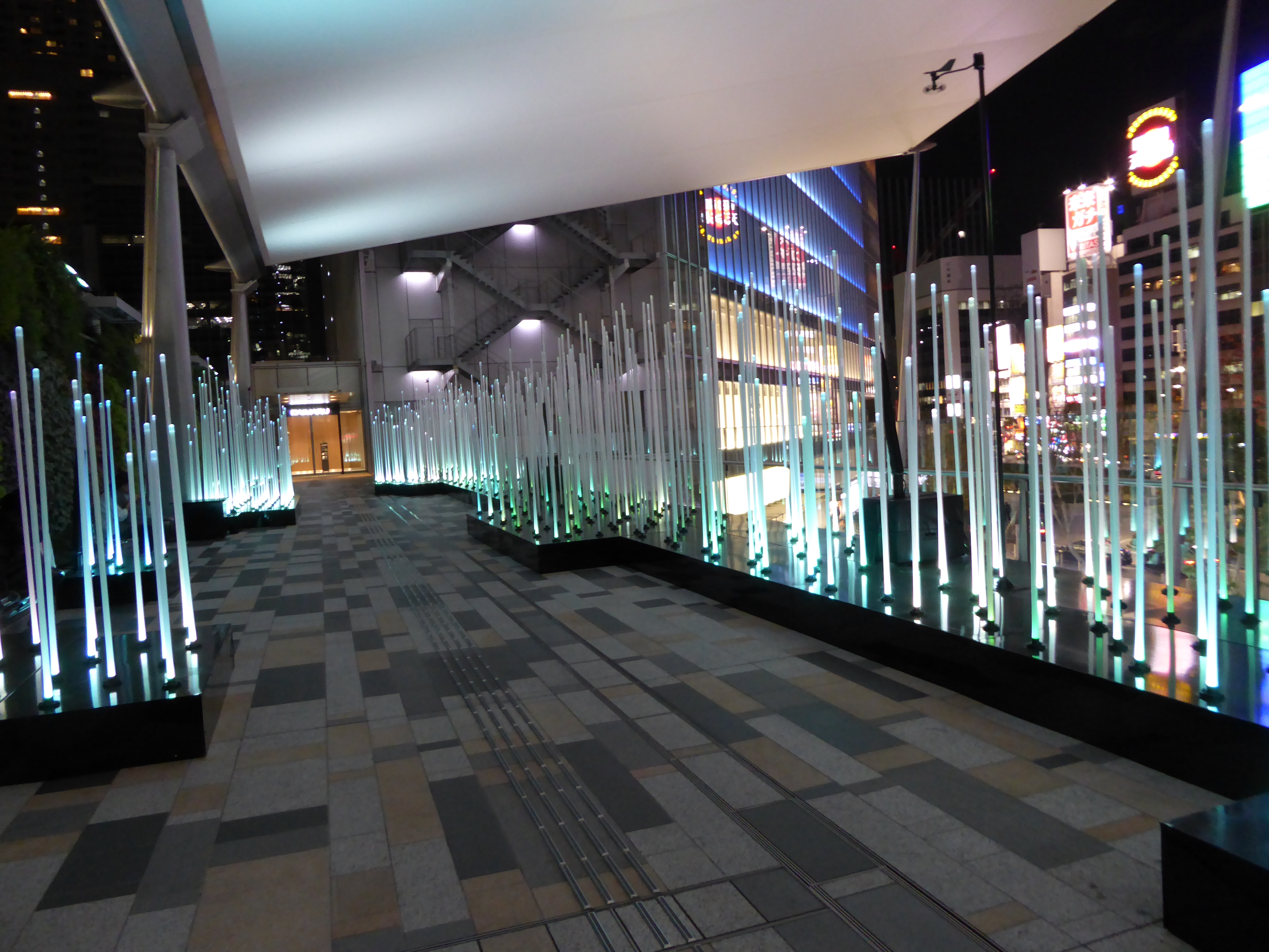 P1010413.JPG