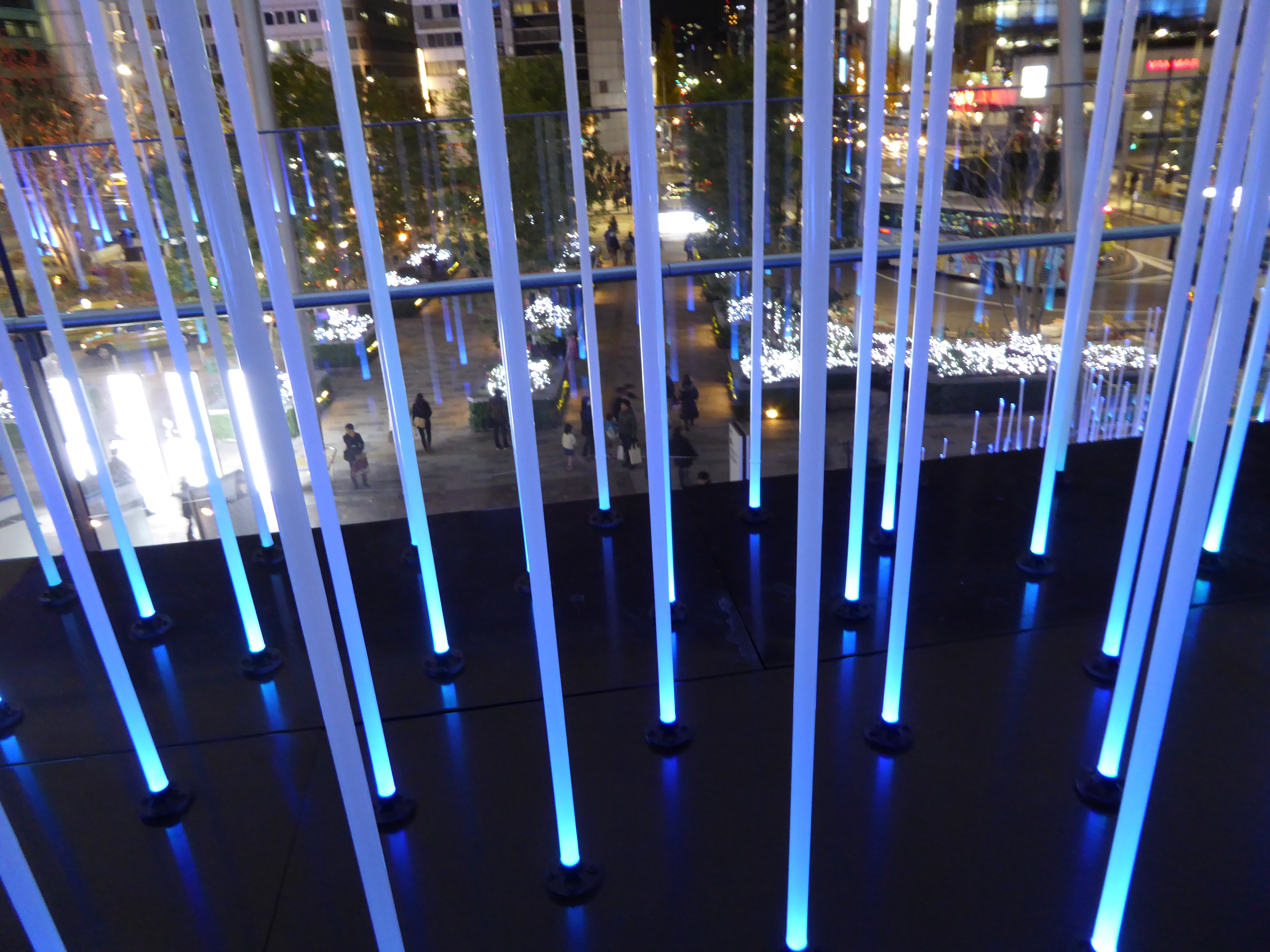 P1010414.JPG