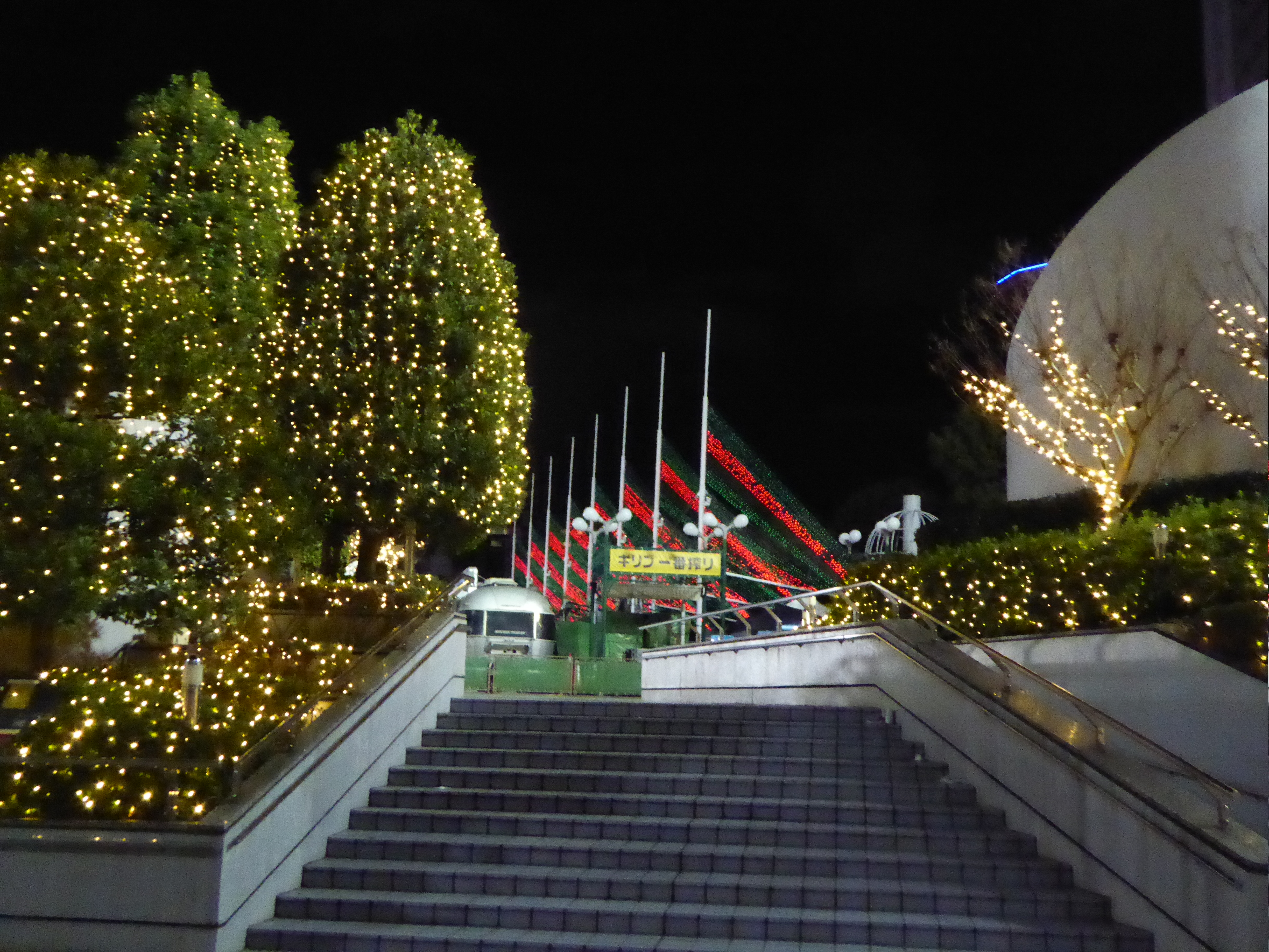 P1010417.JPG