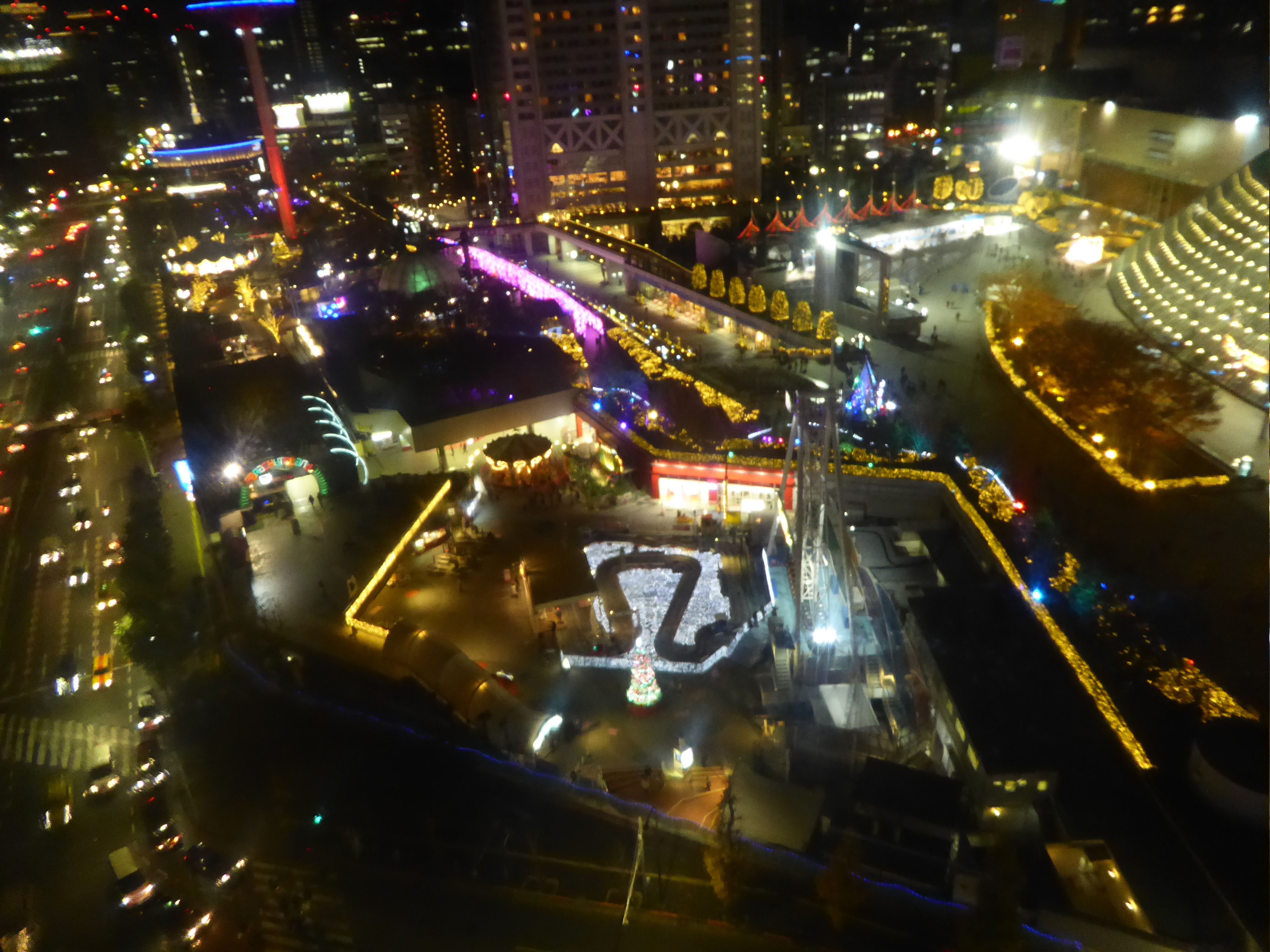 P1010423.JPG