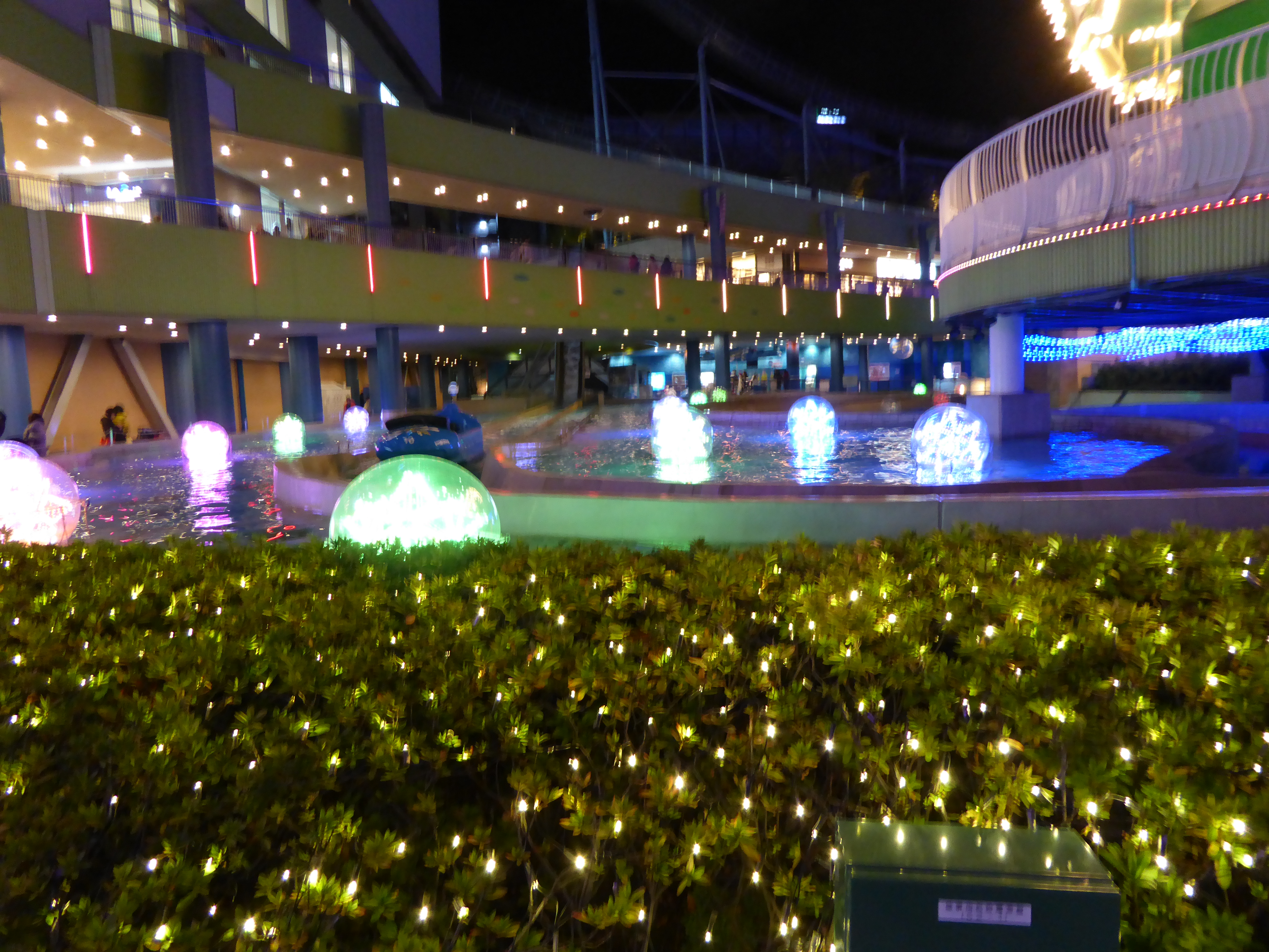 P1010436.JPG