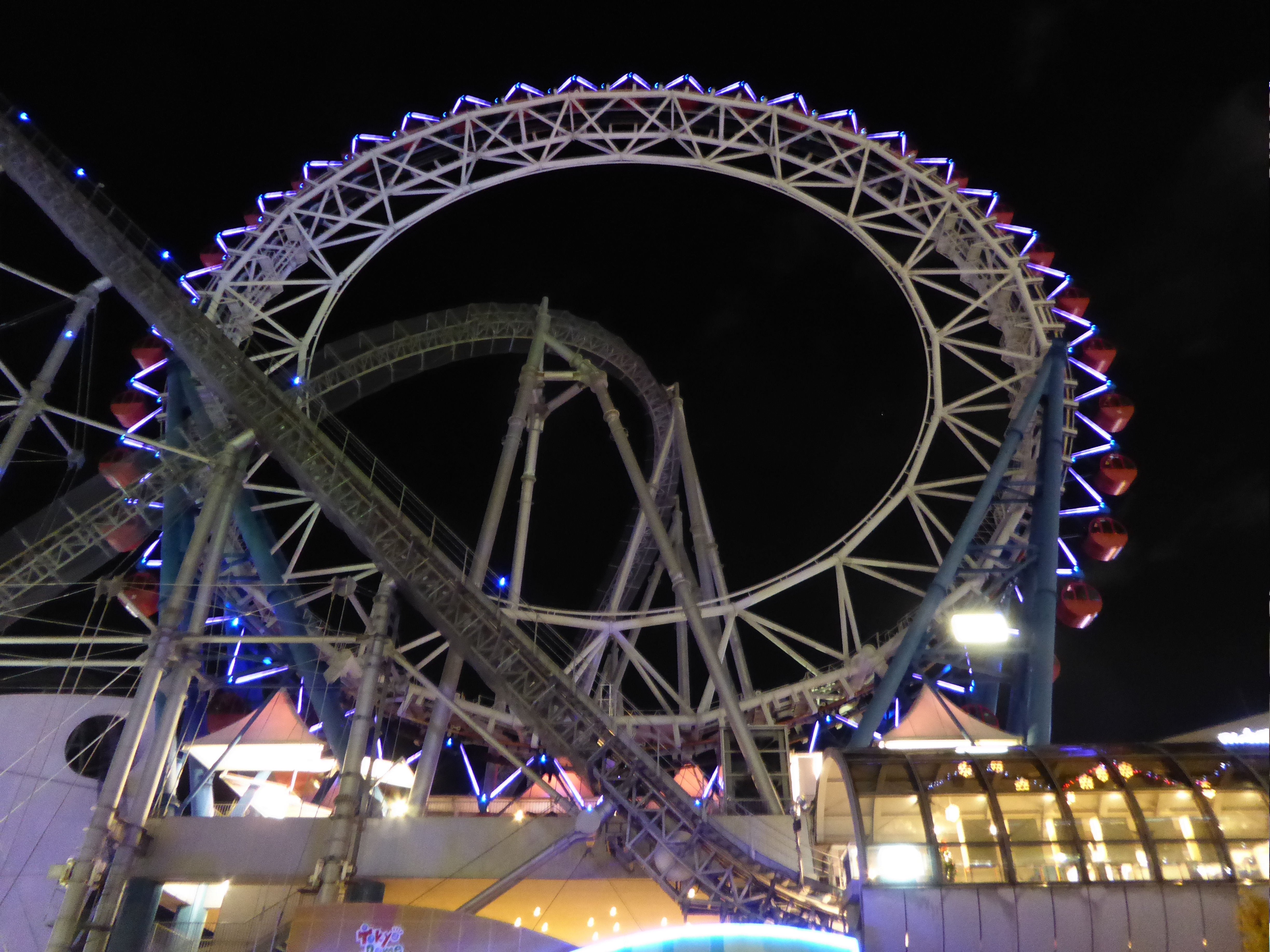 P1010441.JPG