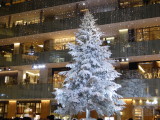 img0018.jpg