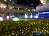 img0040.jpg