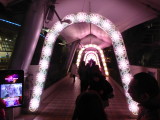 img0044.jpg
