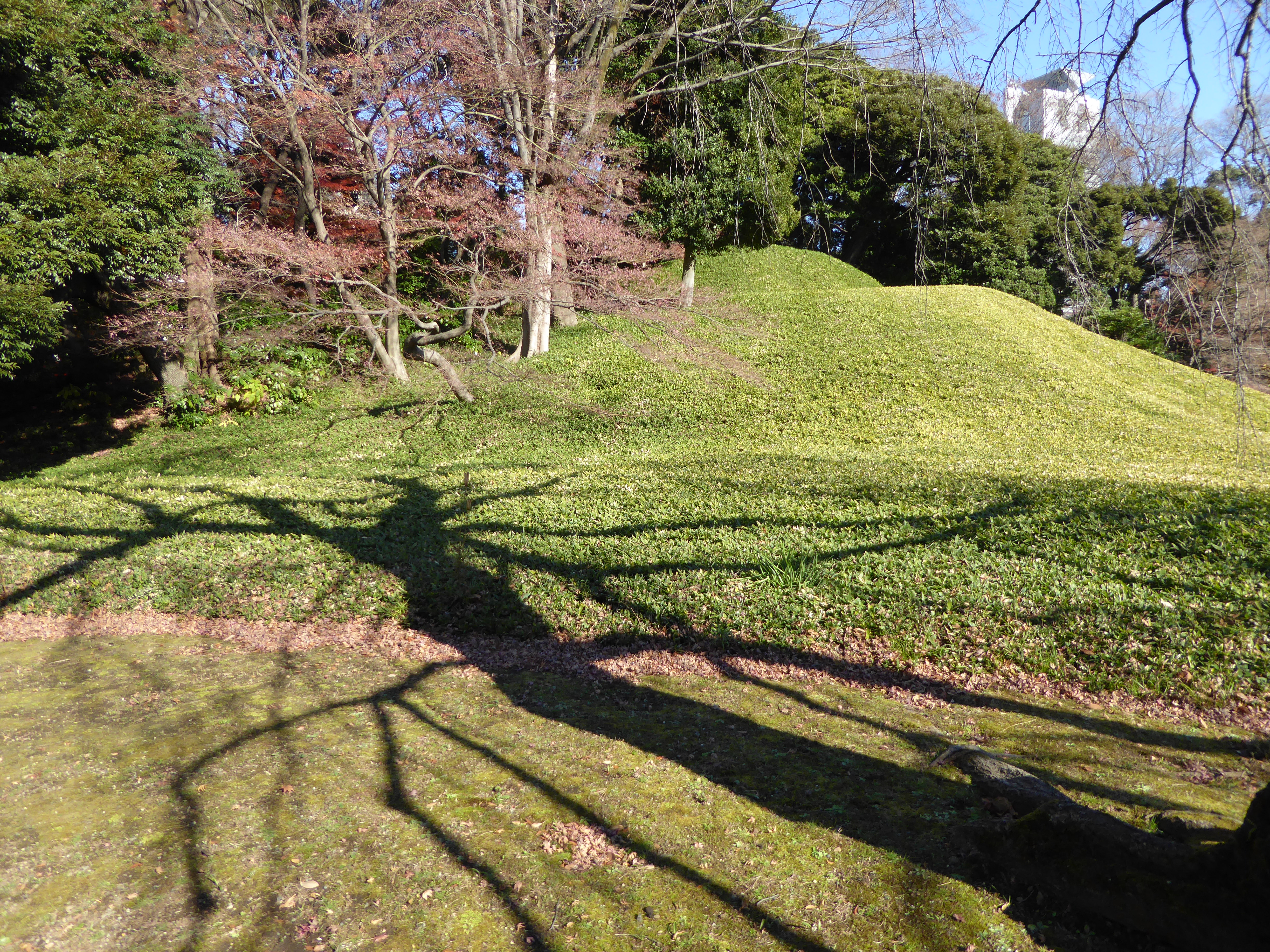 P1010451.JPG