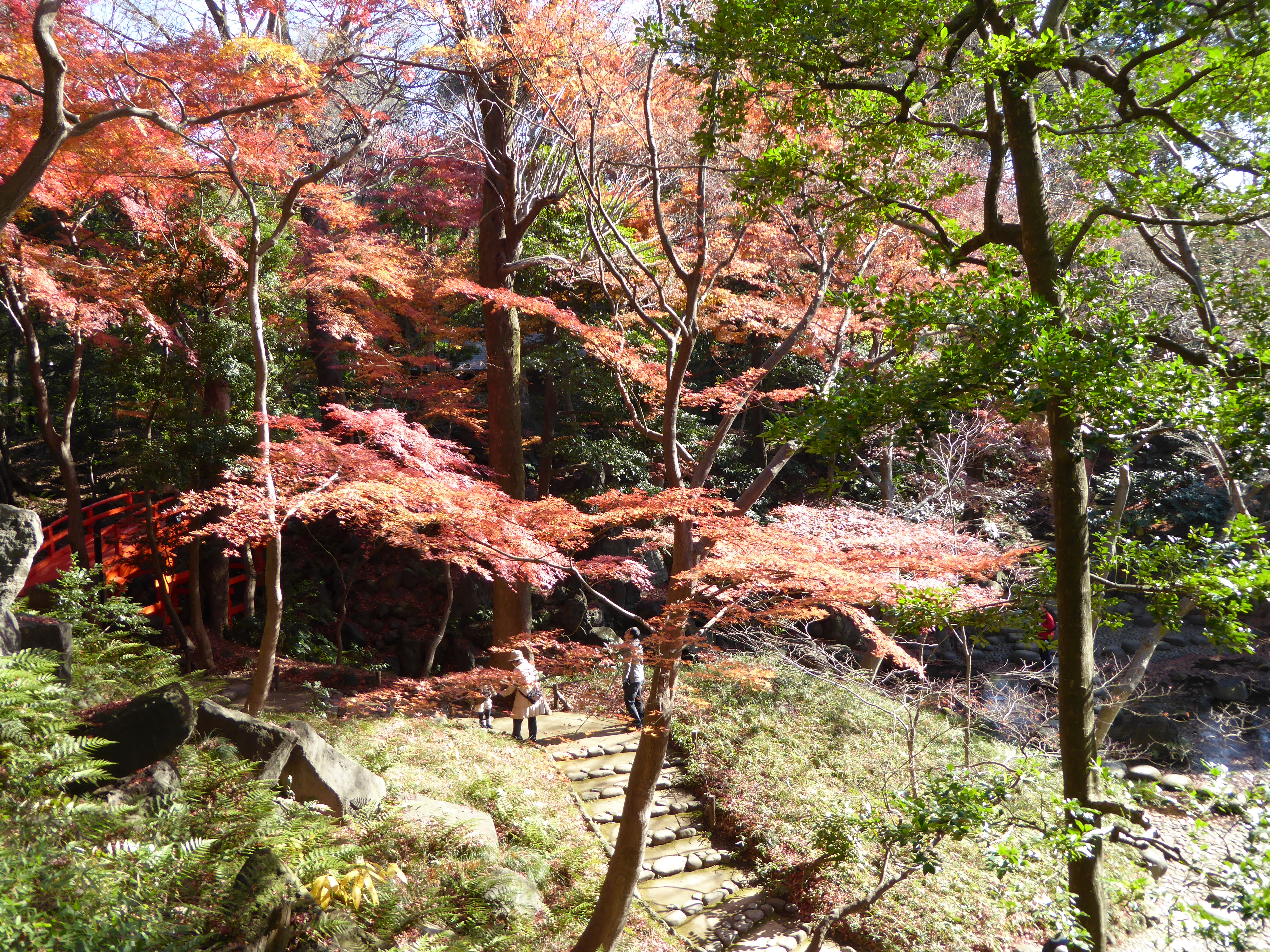 P1010455.JPG