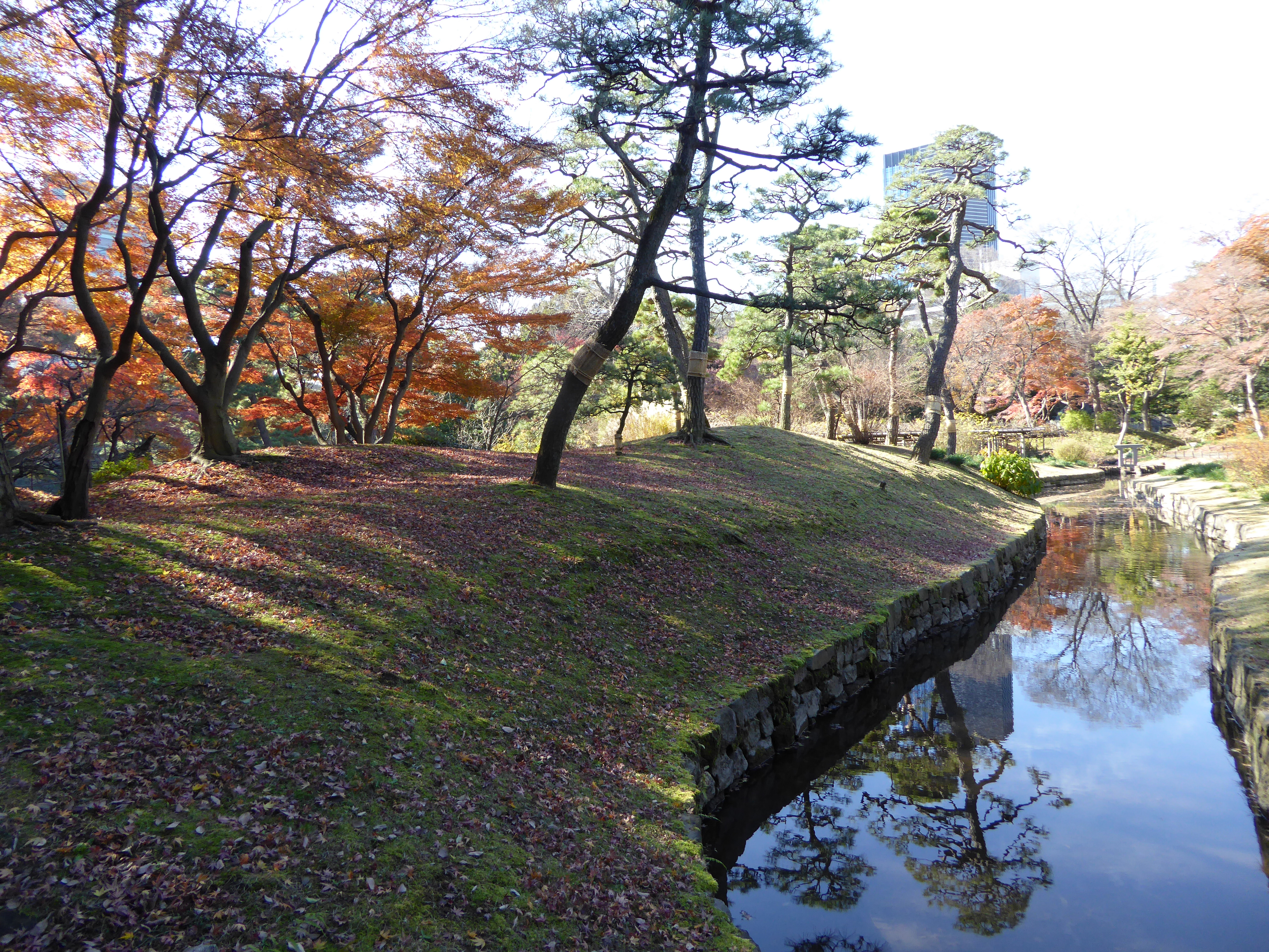 P1010462.JPG