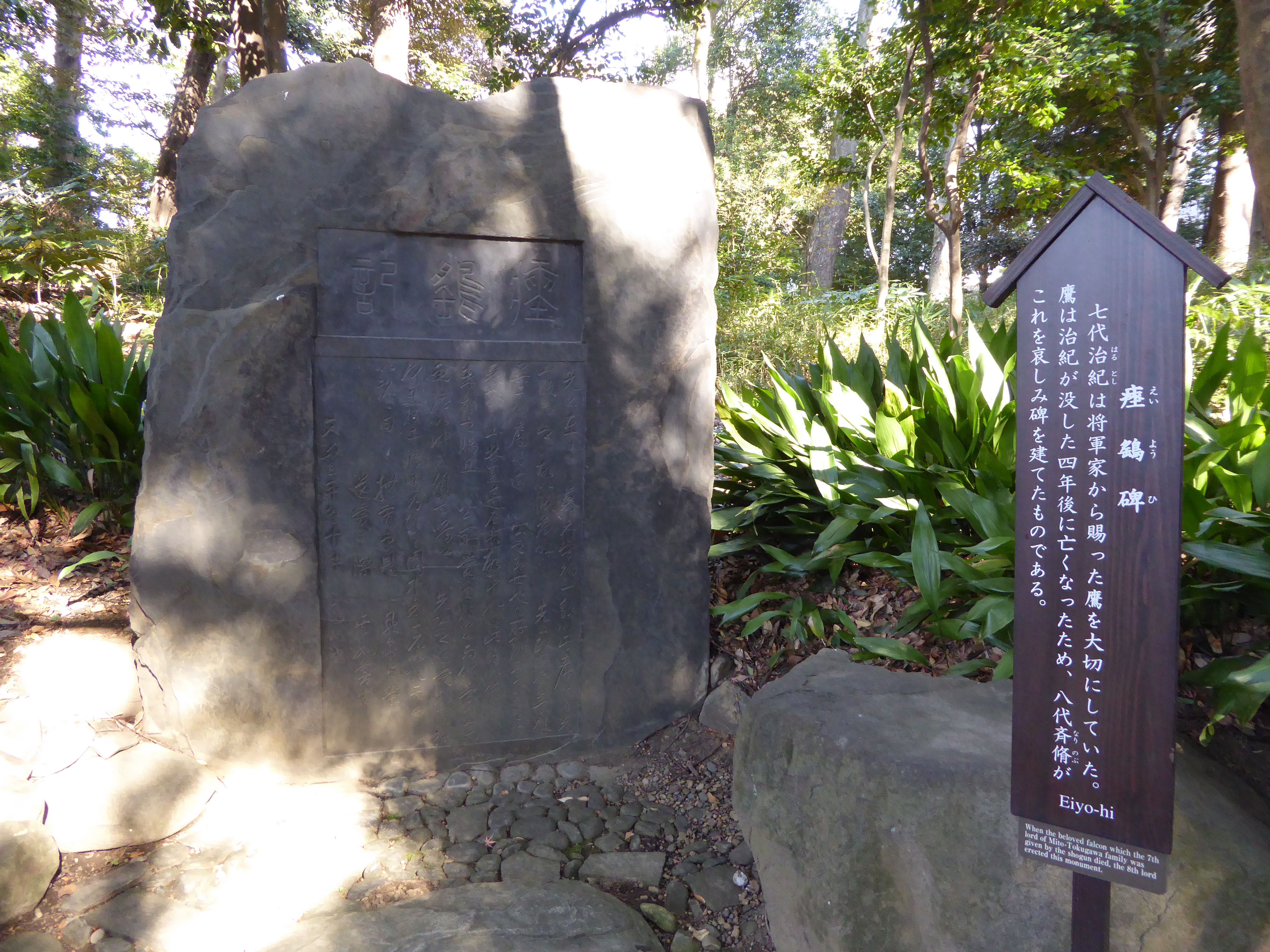 P1010468.JPG