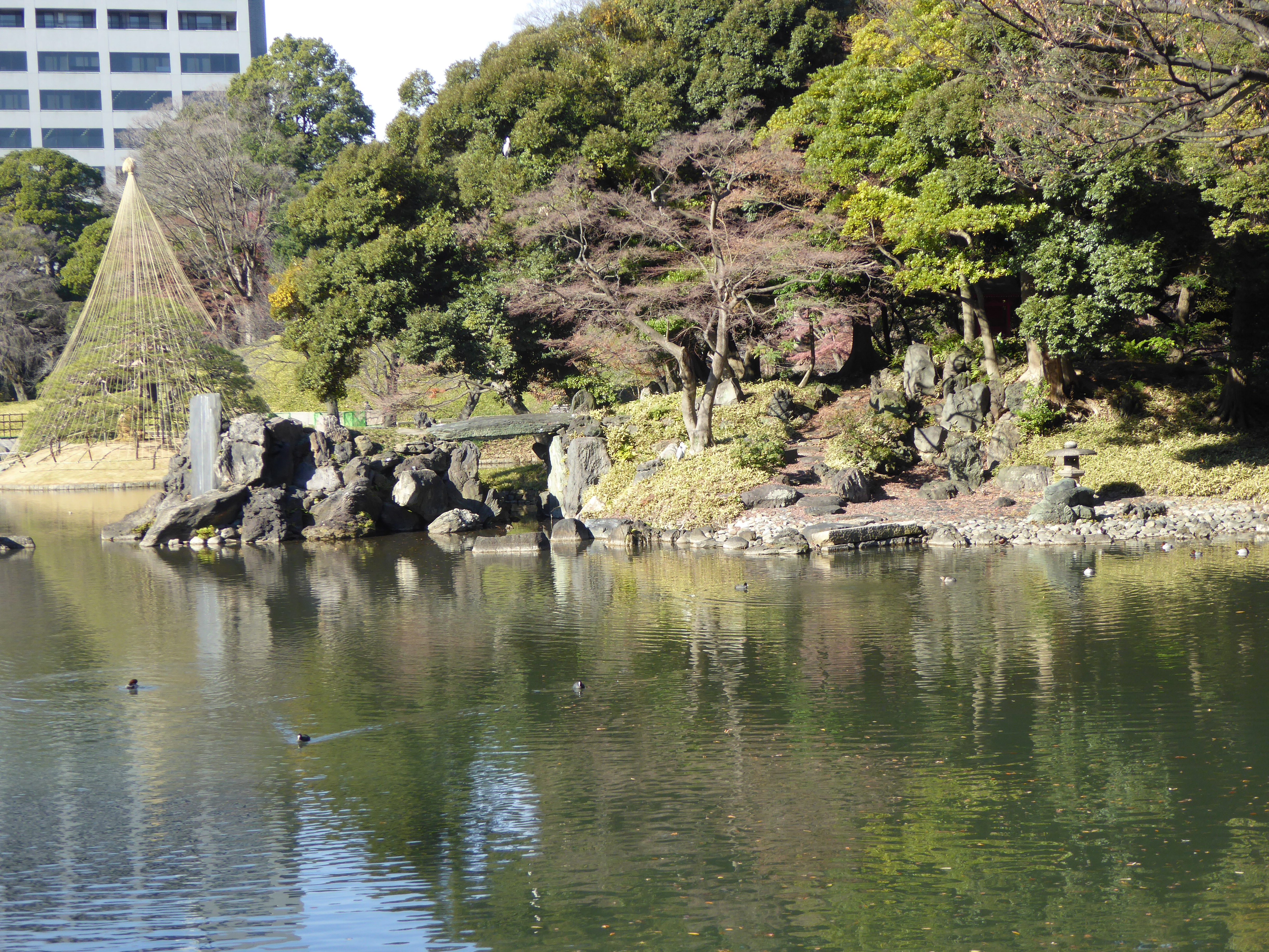 P1010470.JPG