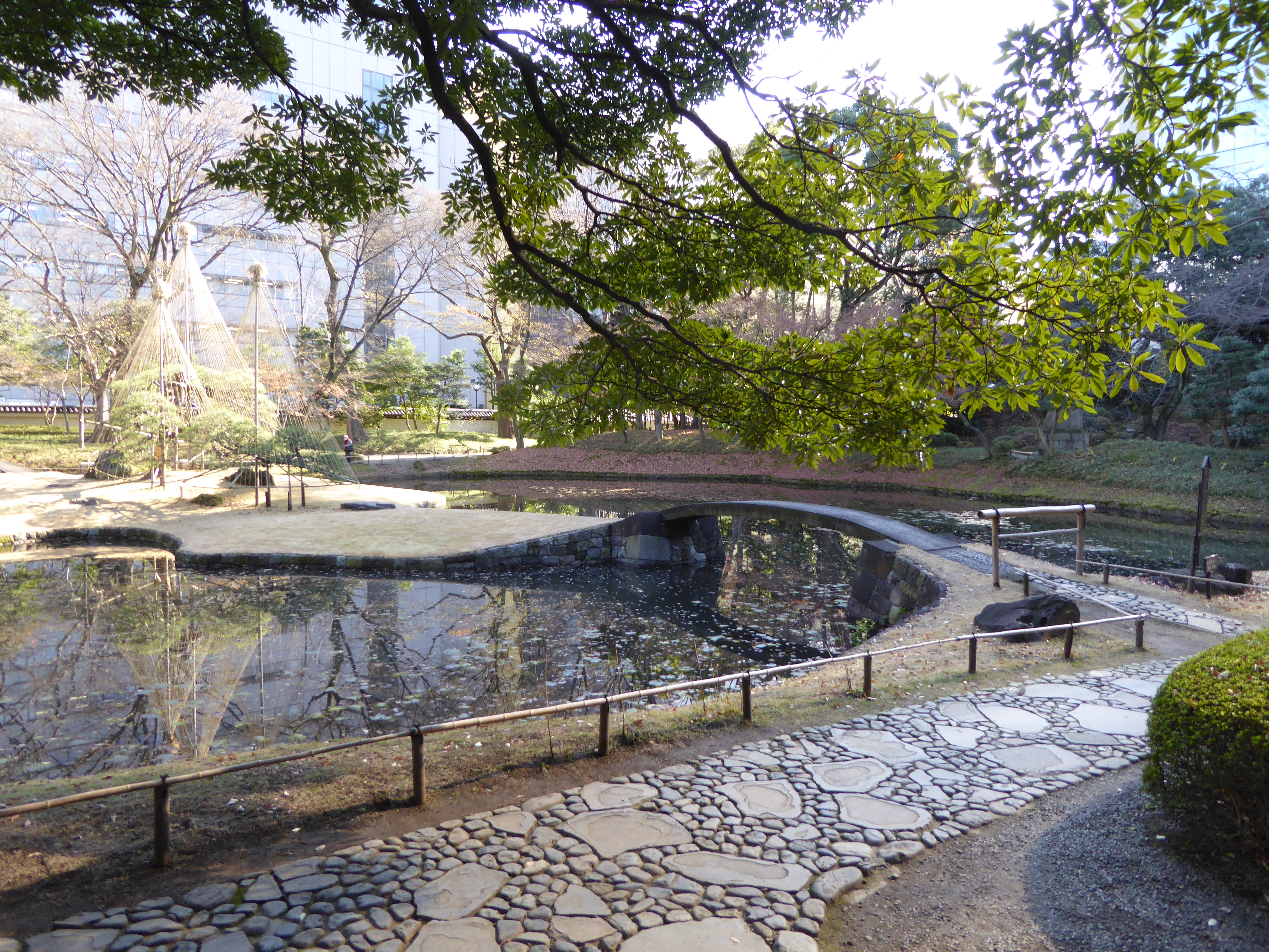 P1010472.JPG