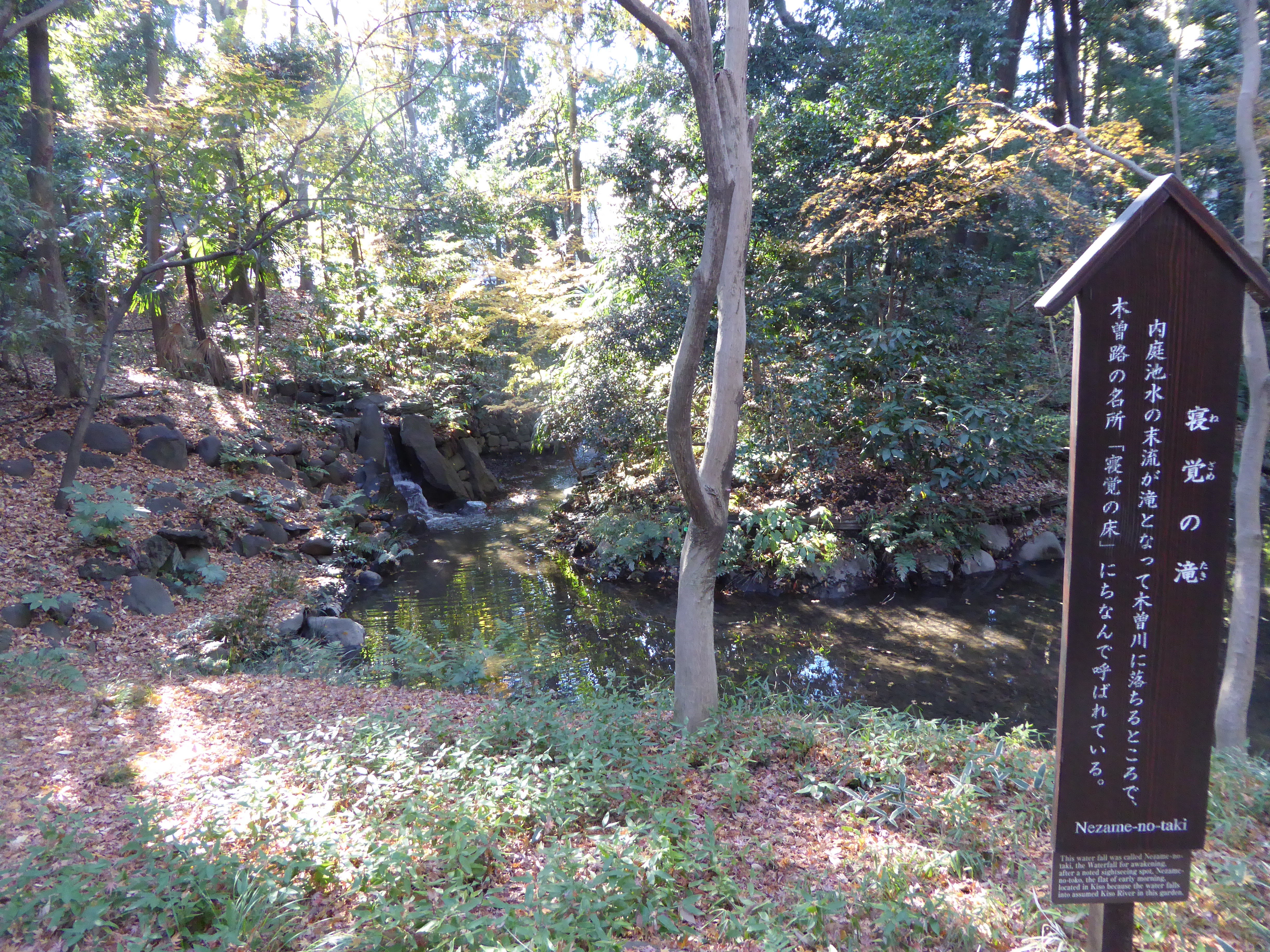 P1010473.JPG