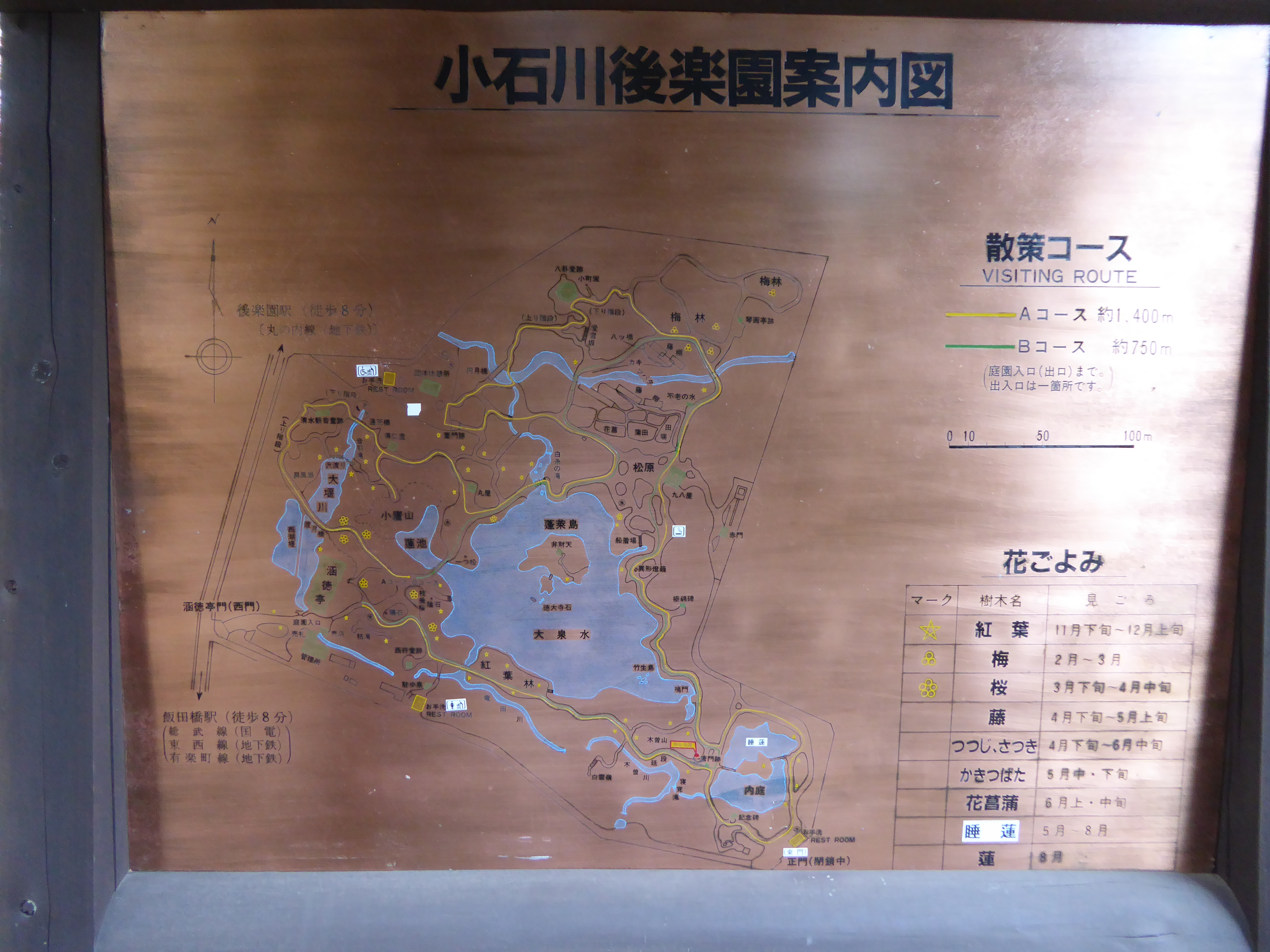 P1010475.JPG