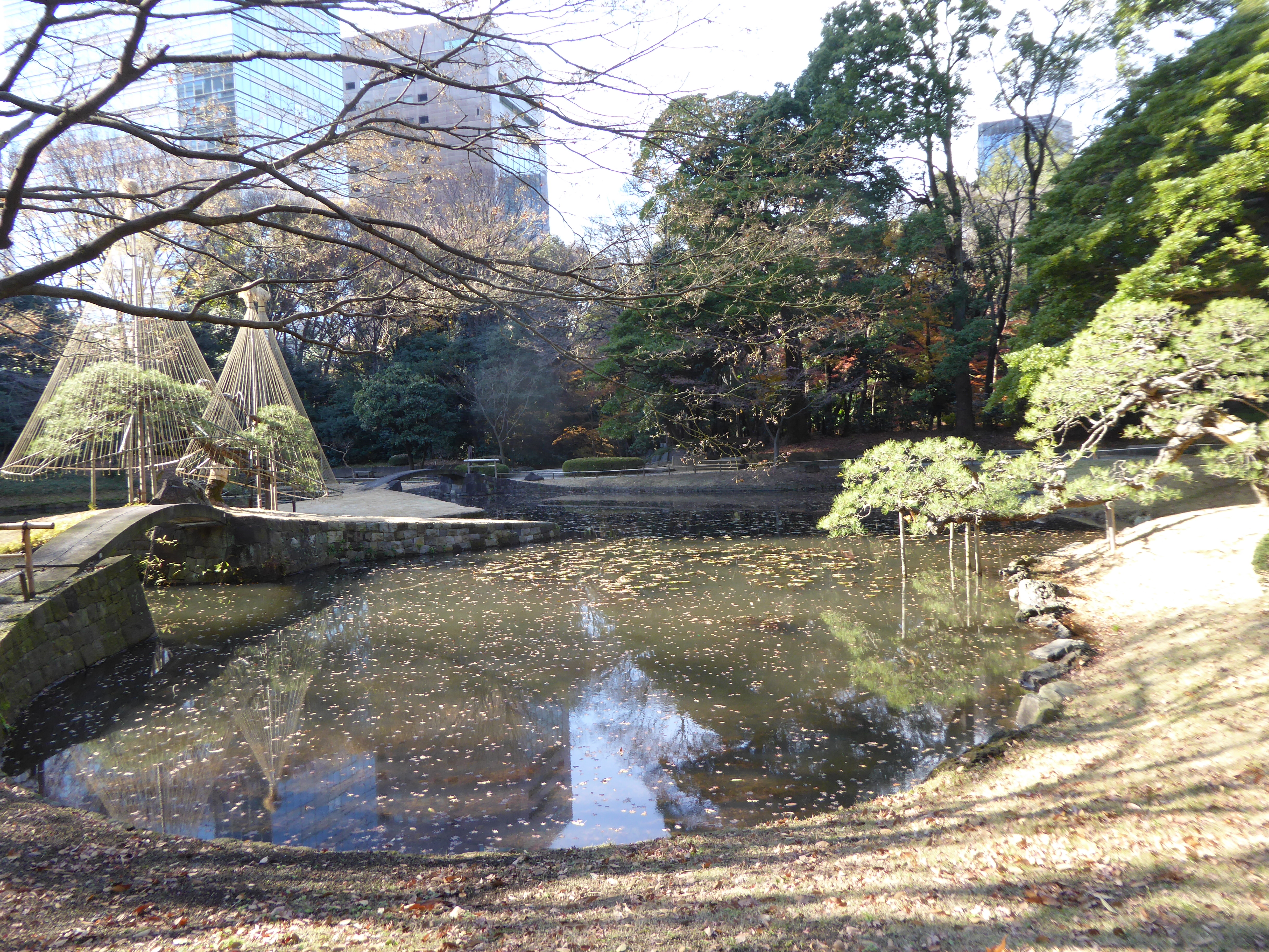 P1010476.JPG