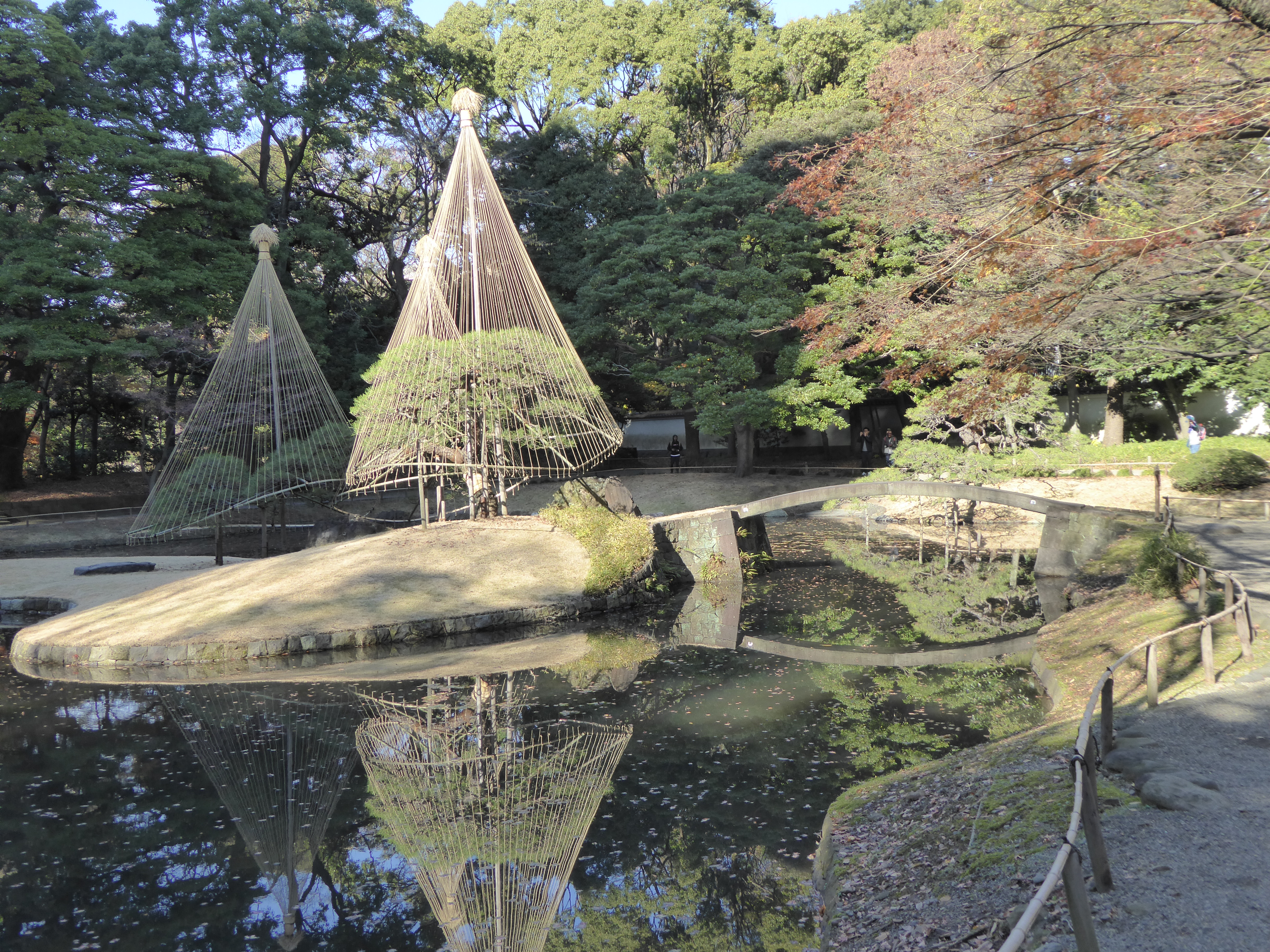 P1010477.JPG