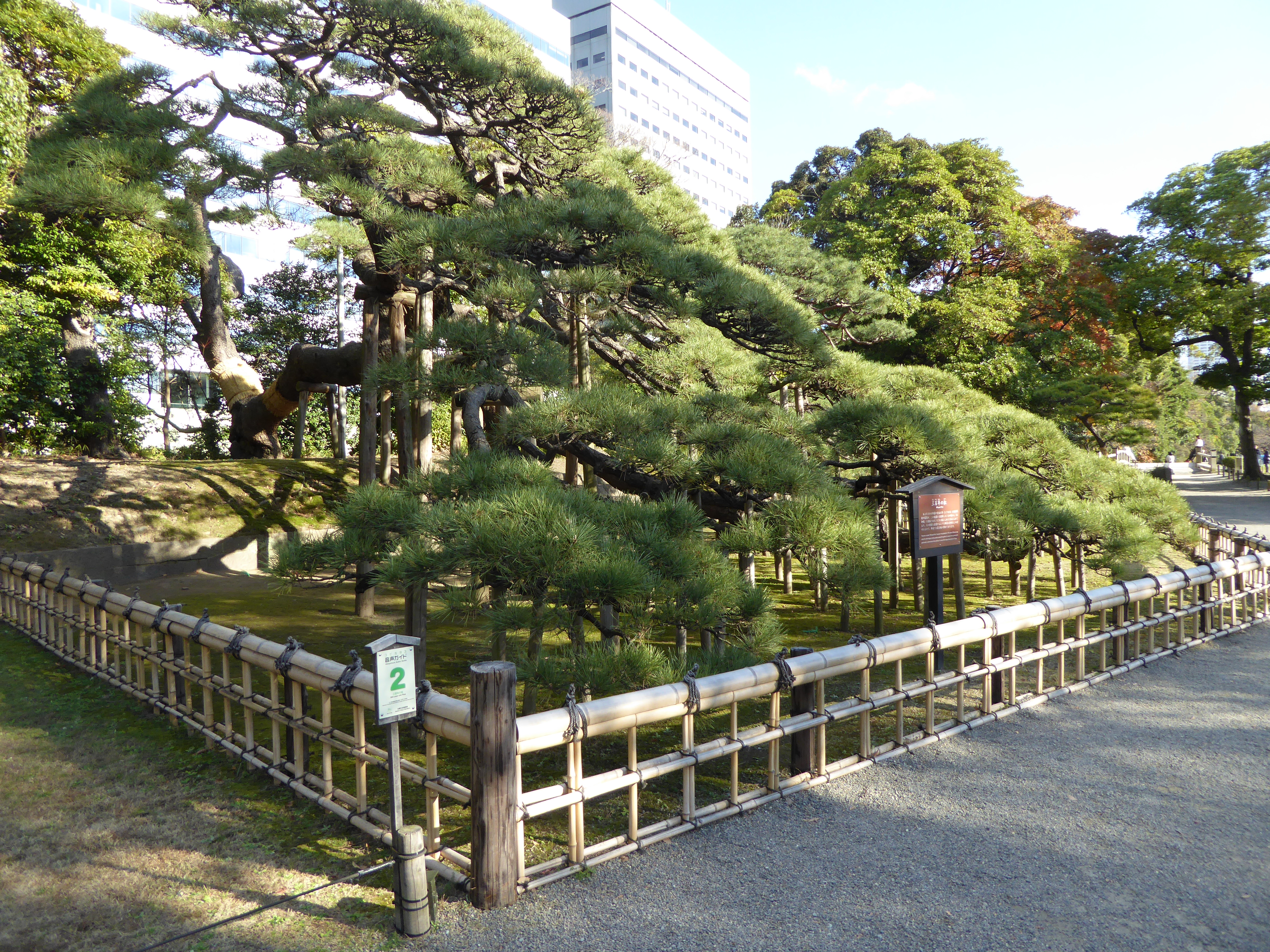 P1010489.JPG