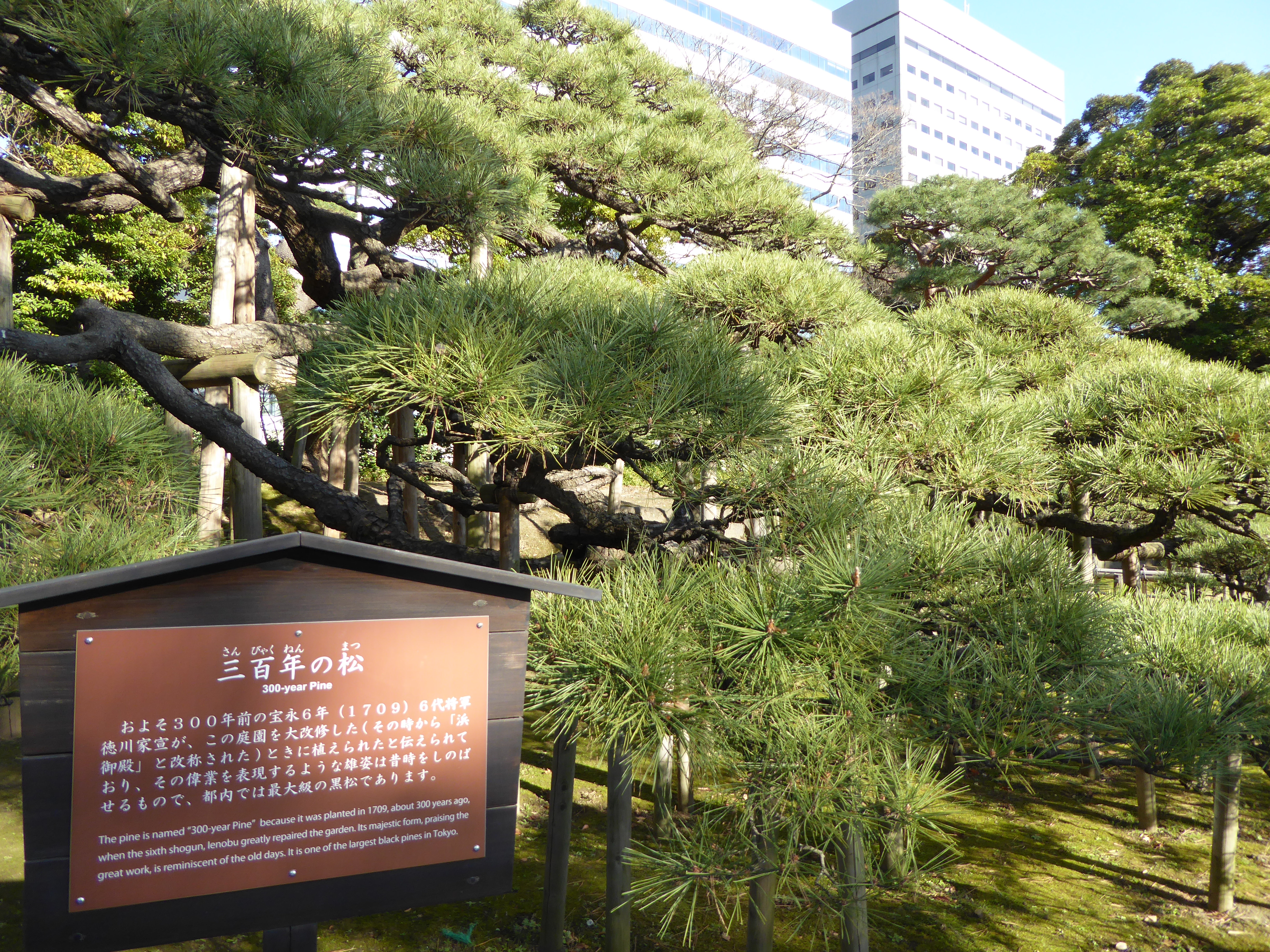 P1010490.JPG