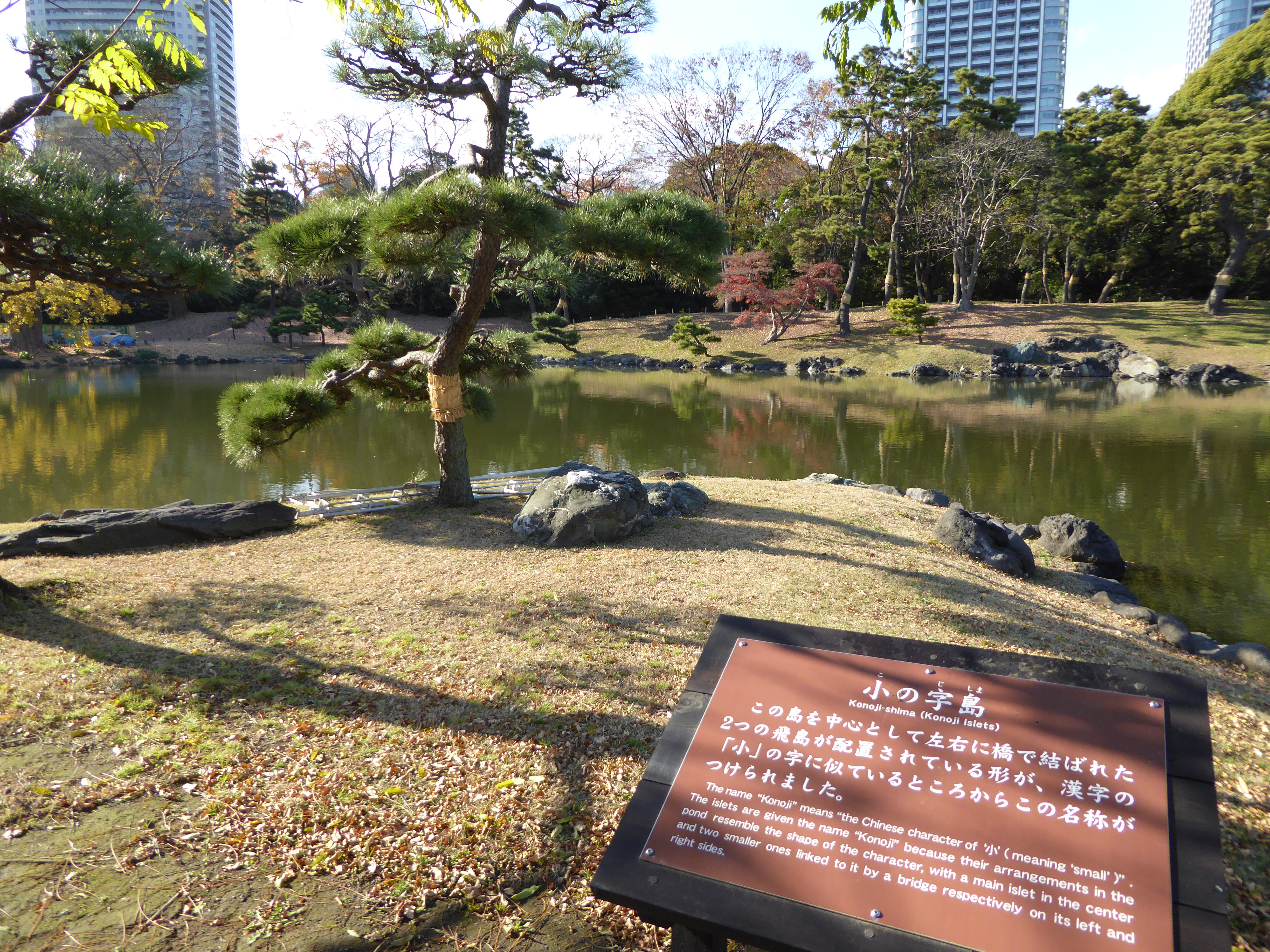 P1010494.JPG