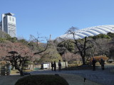 img0004.jpg