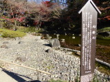 img0007.jpg