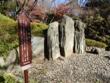 img0008.jpg