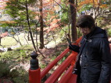 img0012.jpg