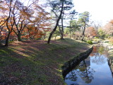 img0016.jpg