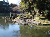 img0019.jpg