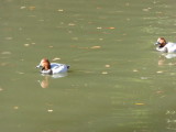 img0020.jpg