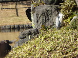 img0021.jpg