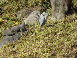 img0025.jpg