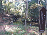 img0027.jpg