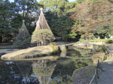 img0031.jpg