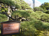 img0044.jpg