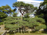 img0045.jpg
