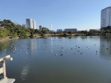 img0046.jpg